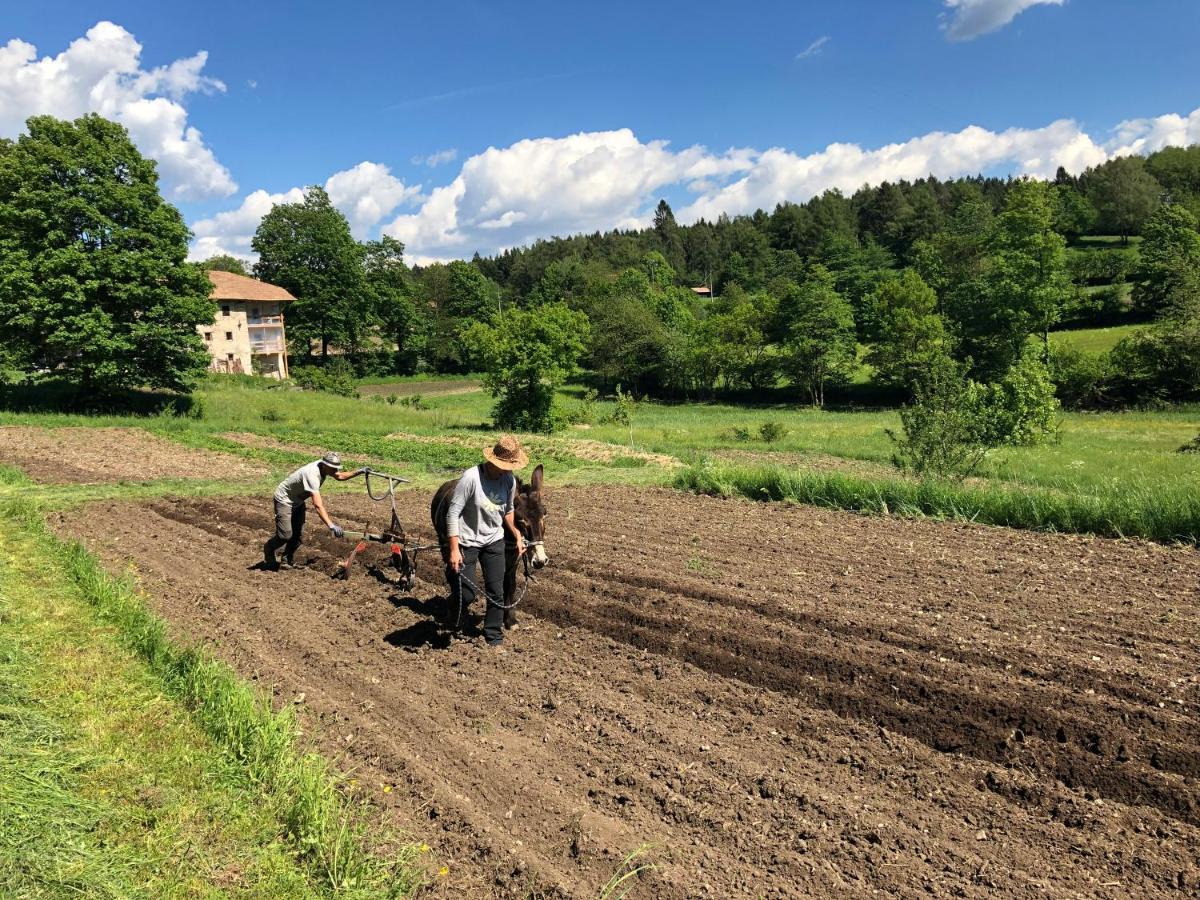 Magre all' AdigeBauernhof Hof Unternberg公寓 外观 照片